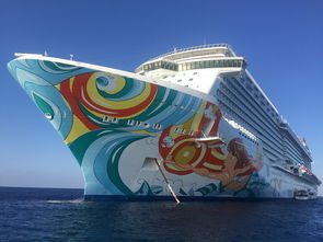探索未知的旅程，旅游巴士的评测与体验